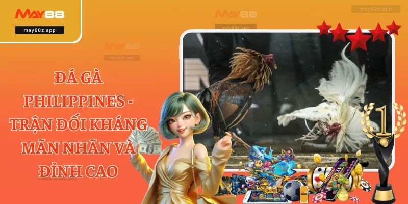Đá Gà Philippines - Trận Đối Kháng Mãn Nhãn Và Đỉnh Cao
