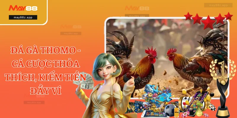 Đá Gà Thomo - Cá Cược Thỏa Thích, Kiếm Tiền Đầy Ví