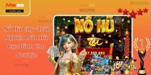 Nổ Hũ City - Trải Nghiệm Săn Hũ Cực Đỉnh Cho Newbie
